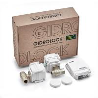 Система защиты от протечек Gidrolock Standard Radio G-Lock 3/4" 220V